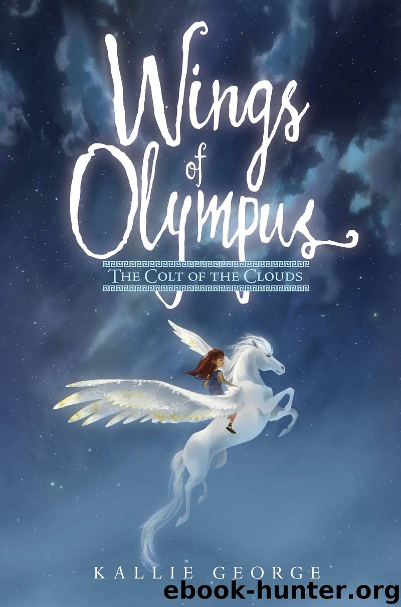 The Colt of the Clouds by Kallie George
