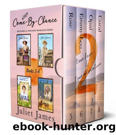 The Come-By-Chance Western Romance Series Books 5-8 by Juliet James