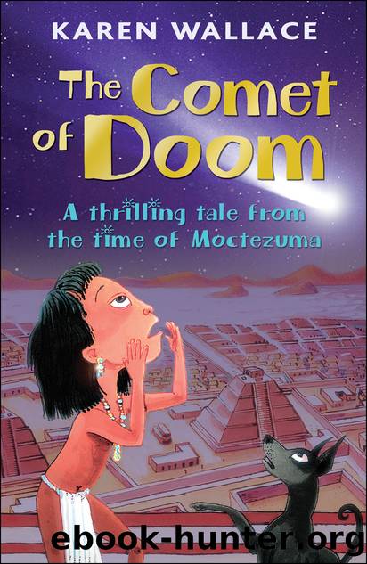 The Comet of Doom by Karen Wallace & Helen Flook