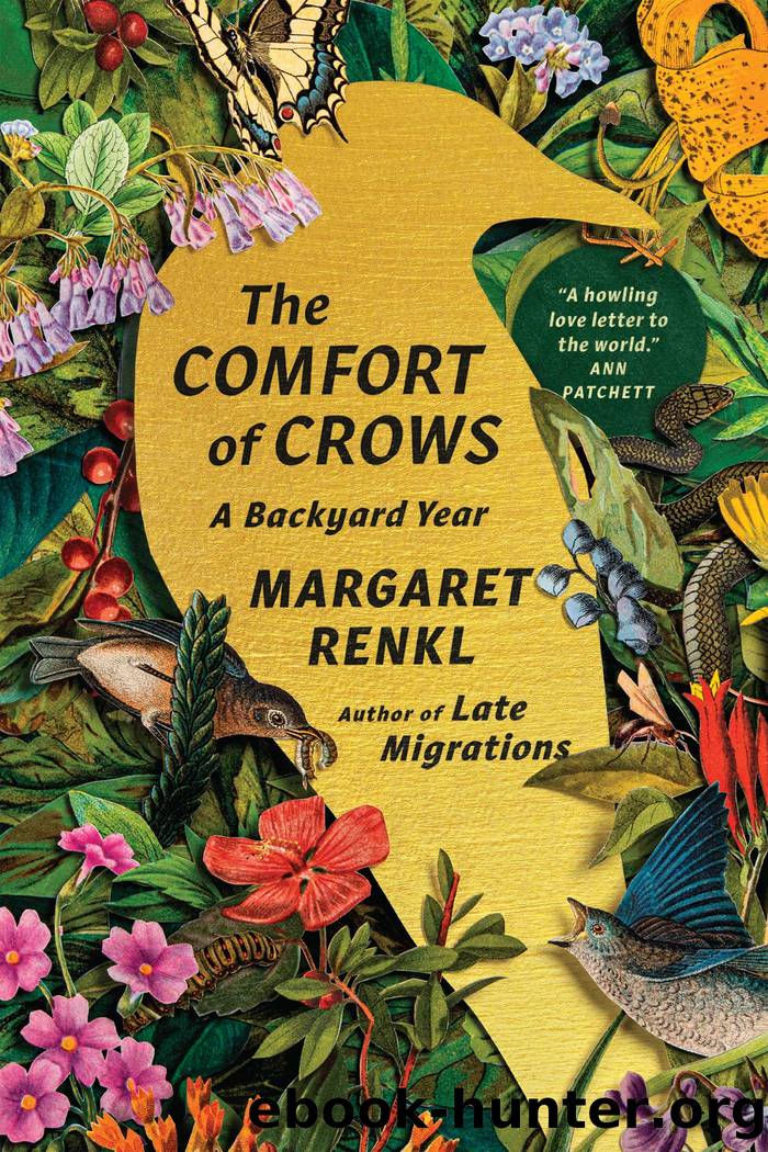 The Comfort of Crows by Margaret Renkl