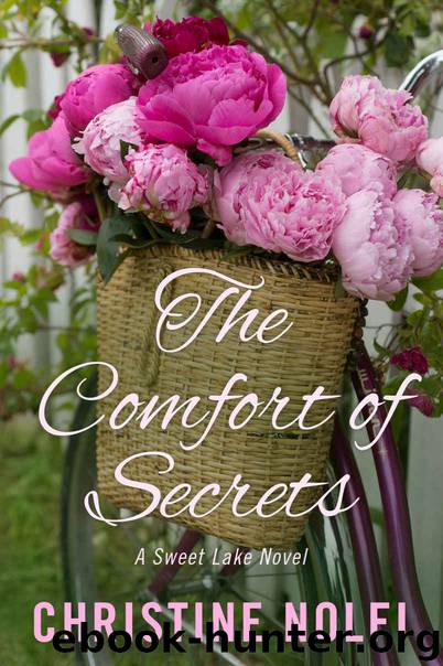 The Comfort of Secrets by Christine Nolfi
