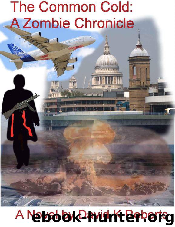 The Common Cold (Book 1): A Zombie Chronicle by Roberts David K