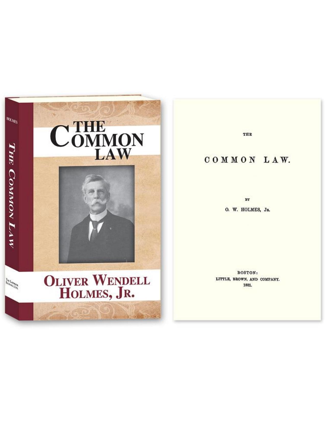 The Common Law by Oliver Wendell Holmes
