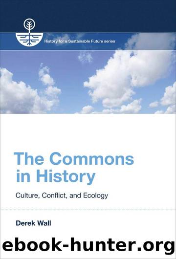 The Commons in History: Culture, Conflict, and Ecology (History for a Sustainable Future) by Derek Wall