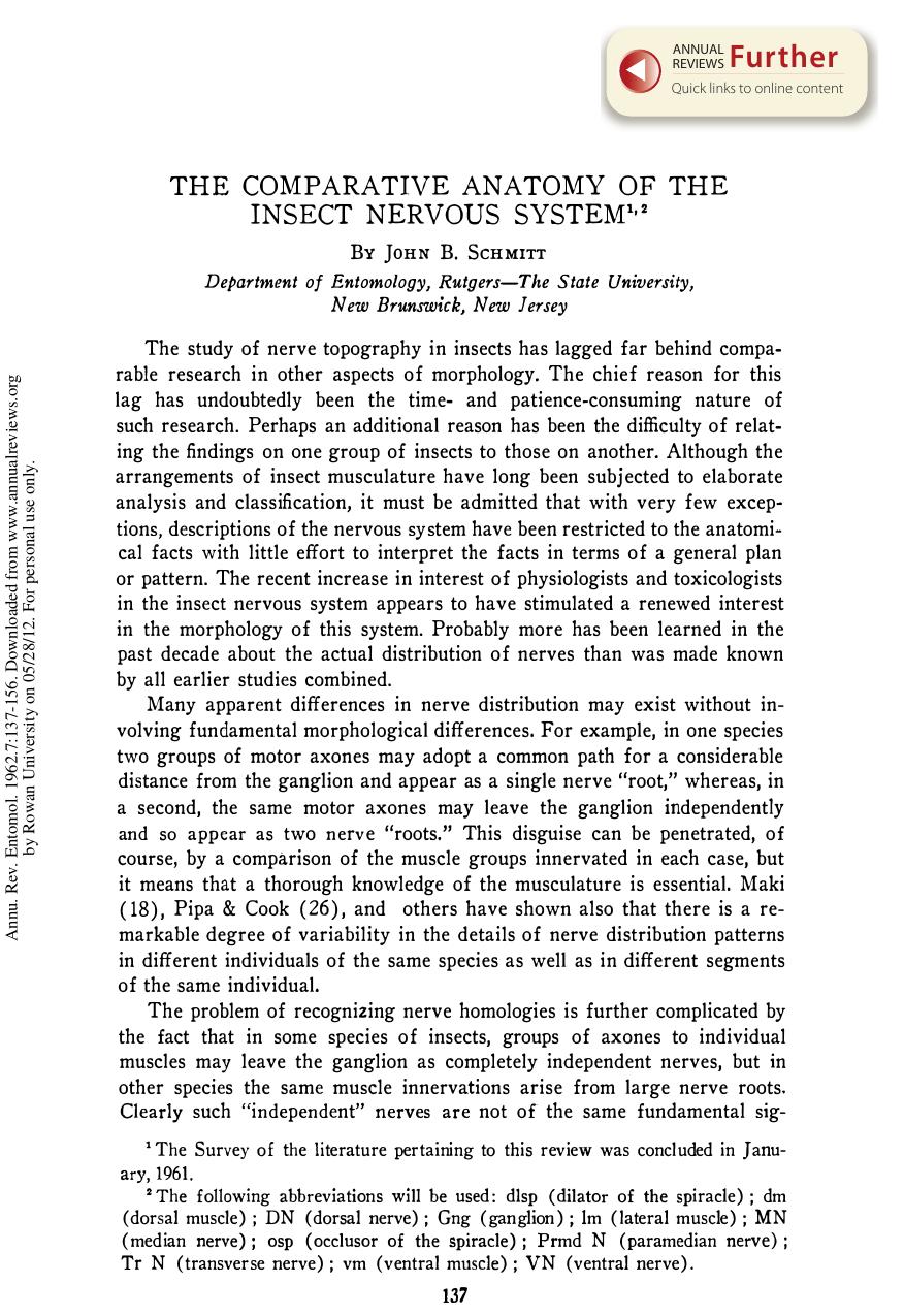 The Comparative Anatomy of the Insect Nervous System by J B Schmitt