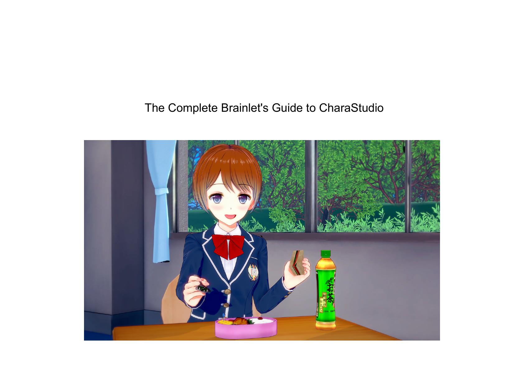 The Complete Brainlet's Guide to CharaStudio by anon