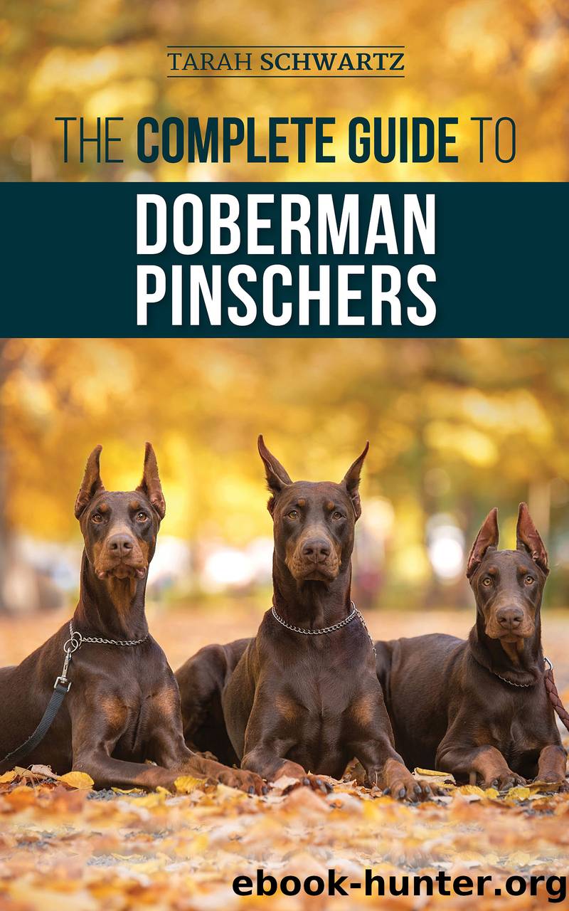 The Complete Guide to Doberman Pinschers by Tarah Schwartz