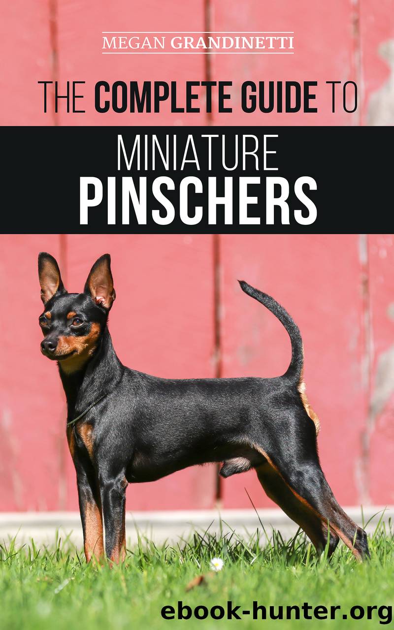 The Complete Guide to Miniature Pinschers by Megan Grandinetti