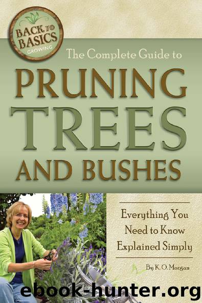 The Complete Guide to Pruning Trees and Bushes: Everything You Need to Know Explained Simply by K. O. Morgan