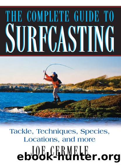 The Complete Guide to Surfcasting by Joe Cermele