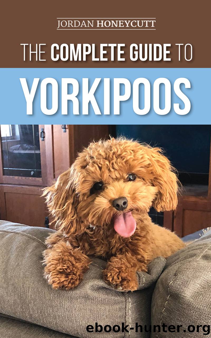 The Complete Guide to Yorkipoos by Jordan Honeycutt