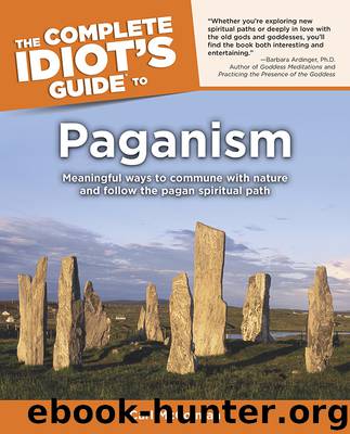 The Complete Idiot's Guide to Paganism by Carl McColman