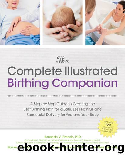 The Complete Illustrated Birthing Companion by Amanda French