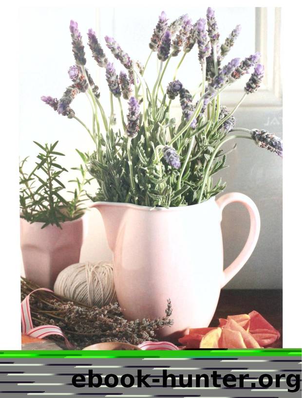 The Complete Illustrated Book Of Herbs by Growing Health & Beauty Cooking Crafts
