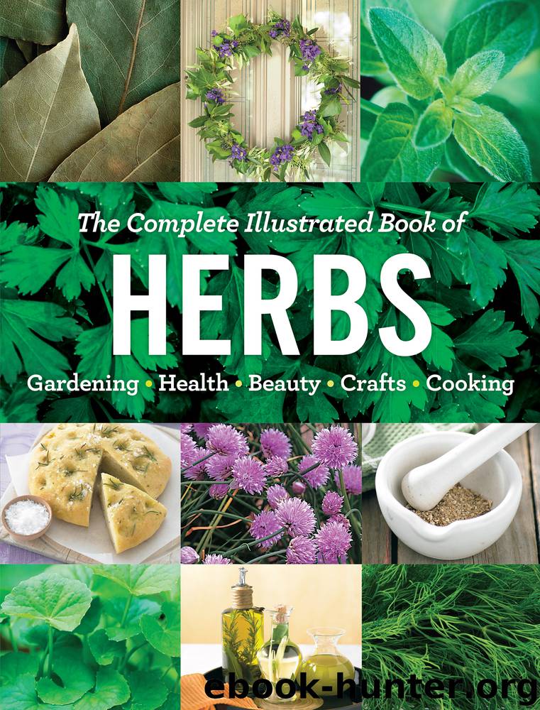 The Complete Illustrated Book of Herbs by Editors at Reader's Digest