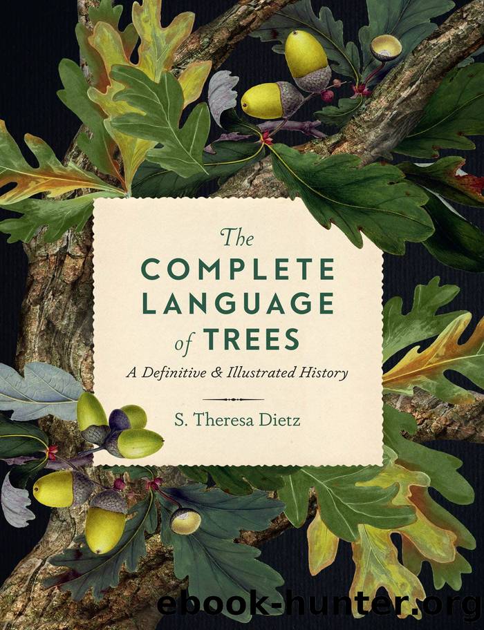 The Complete Language of Trees by S. Theresa Dietz