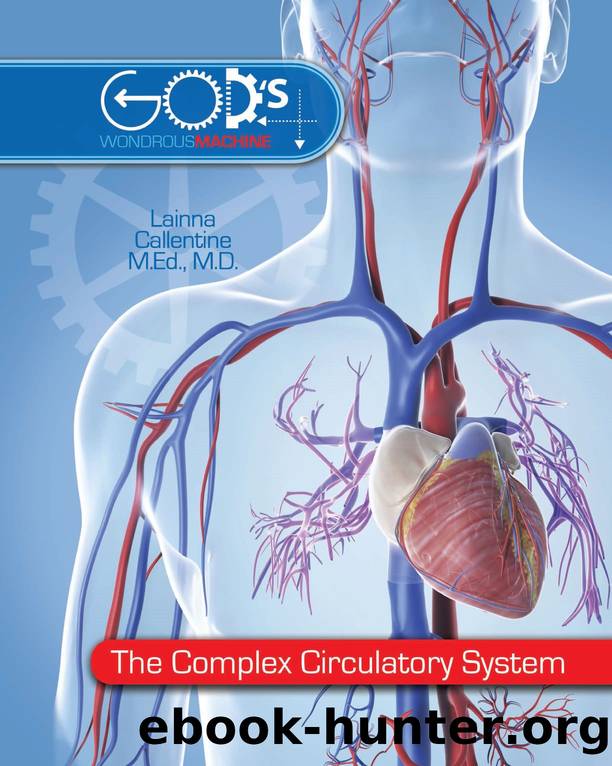 The Complex Circulatory System by Lainna Callentine