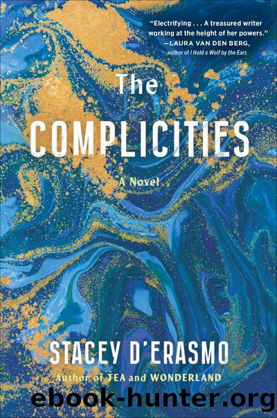 The Complicities by Stacey D'Erasmo