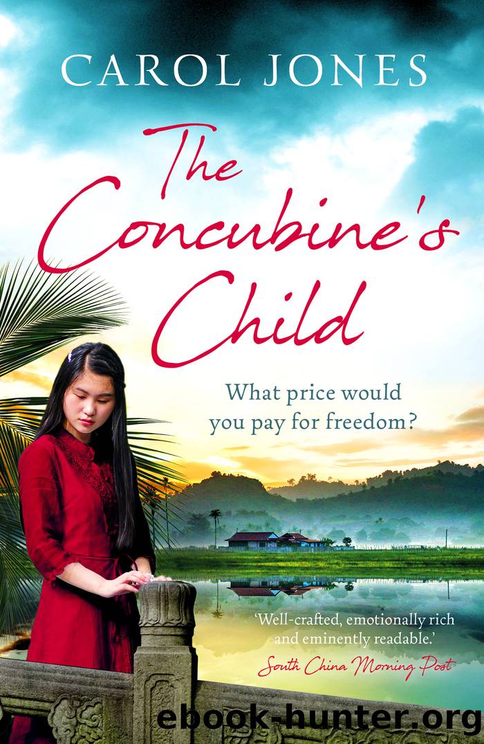 The Concubine's Child by Carol Jones