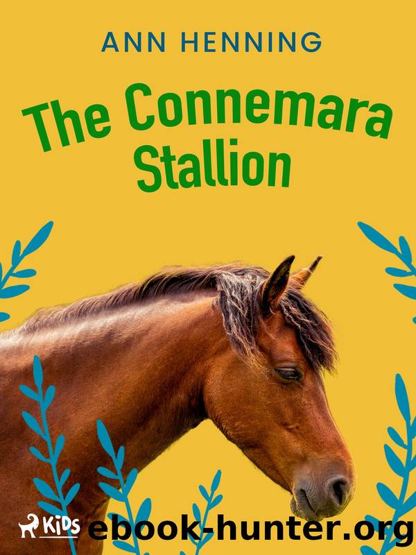 The Connemara Stallion by Ann Henning