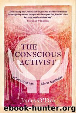 The Conscious Activist: Where Activism Meets Mysticism by James O'Dea