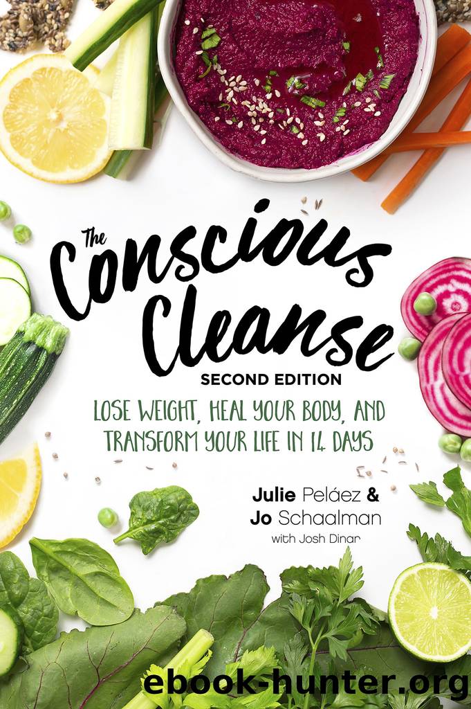 The Conscious Cleanse by Jo Schaalman