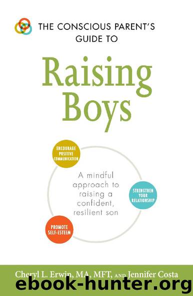 The Conscious Parent's Guide to Raising Boys by Cheryl L. Erwin