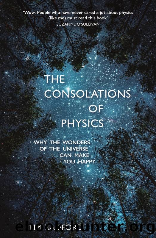 The Consolations of Physics by Tim Radford