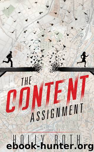 The Content Assignment by Holly Roth