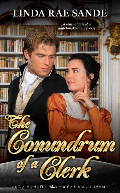The Conundrum of a Clerk by Sande Linda Rae