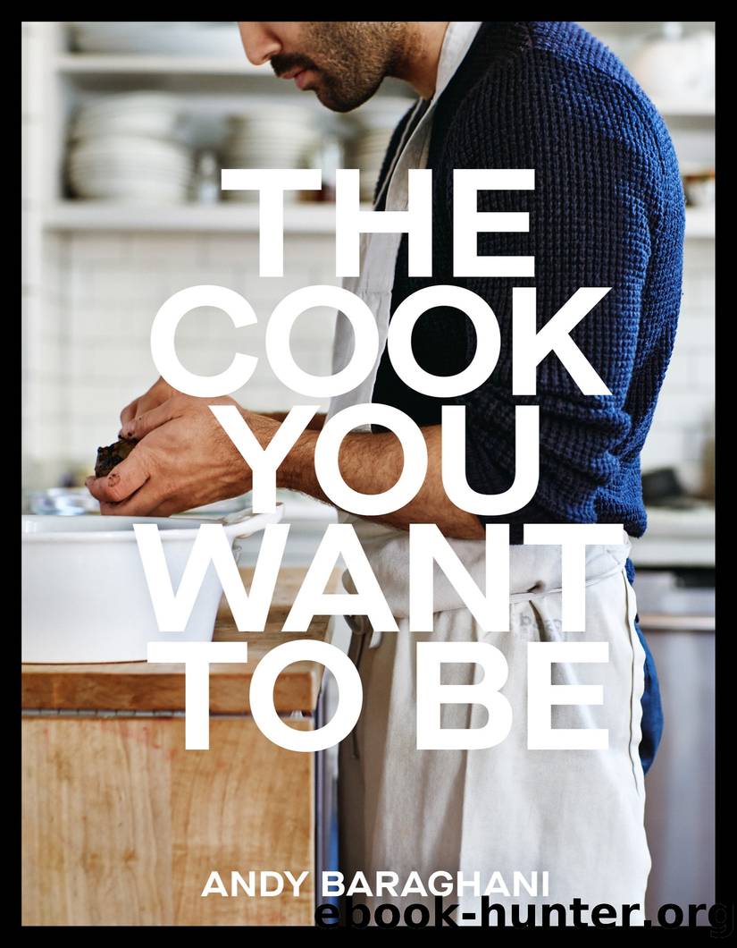The Cook You Want to Be by Andy Baraghani