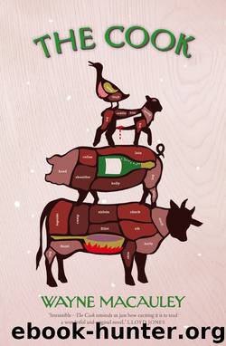 The Cook by Wayne Macauley