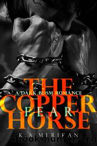 The Copper Horse #1 Fear by K.A. Merikan