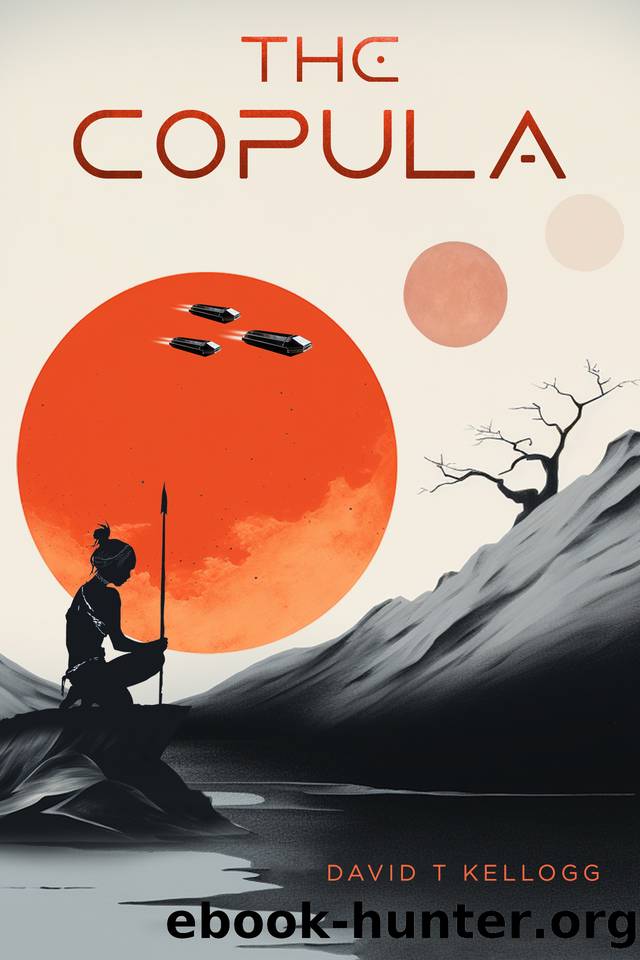 The Copula by David T Kellogg