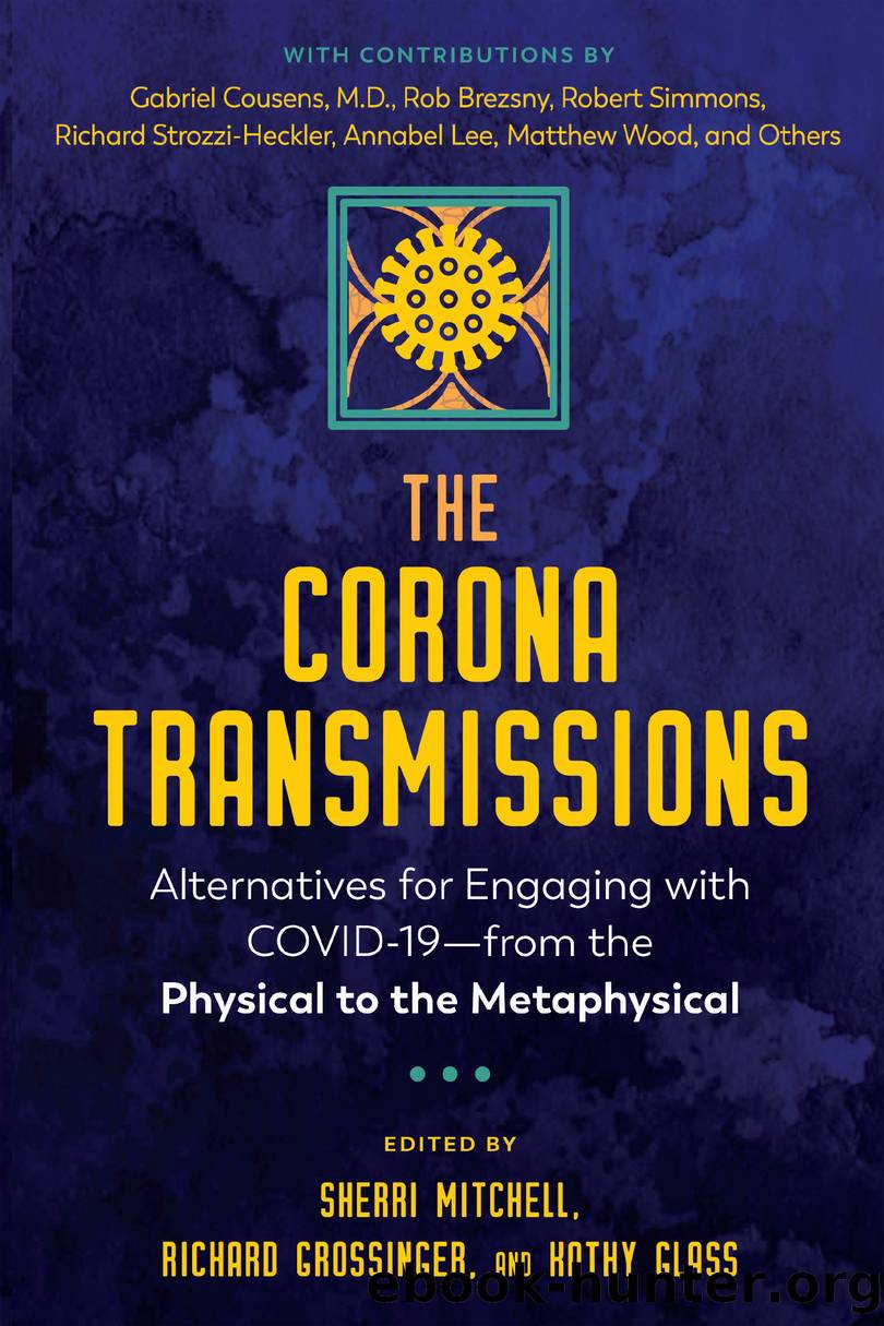 The Corona Transmissions by Sherri Mitchell