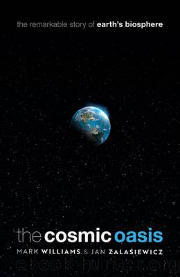 The Cosmic Oasis by Mark Williams