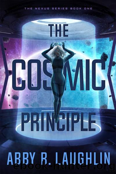 The Cosmic Principle by Abby R. Laughlin