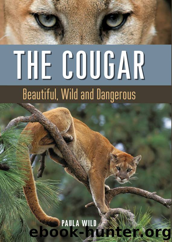 The Cougar by Paula Wild