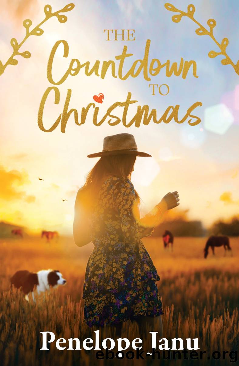 The Countdown to Christmas by Penelope Janu