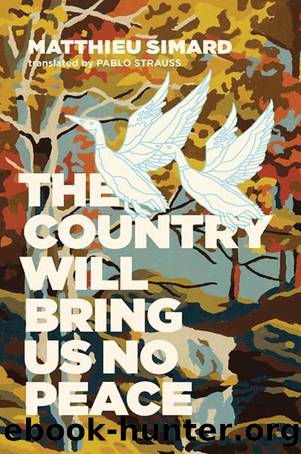 The Country Will Bring Us No Peace by Matthieu Simard
