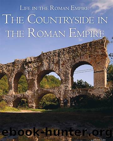 The Countryside in the Roman Empire by Lane Allison;