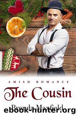 The Cousin (Doris's Christmas Story Book 1) by Brenda Maxfield