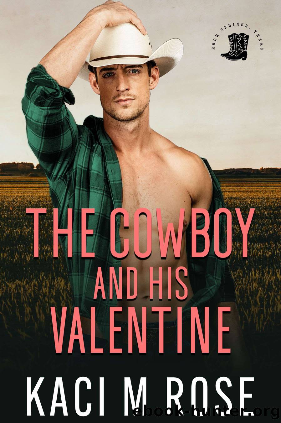The Cowboy and His Valentine by Kaci M. Rose
