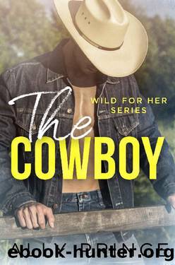 The Cowboy by Ally Prince