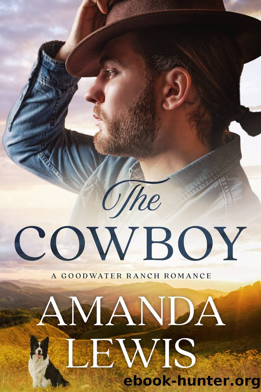 The Cowboy by Amanda Lewis