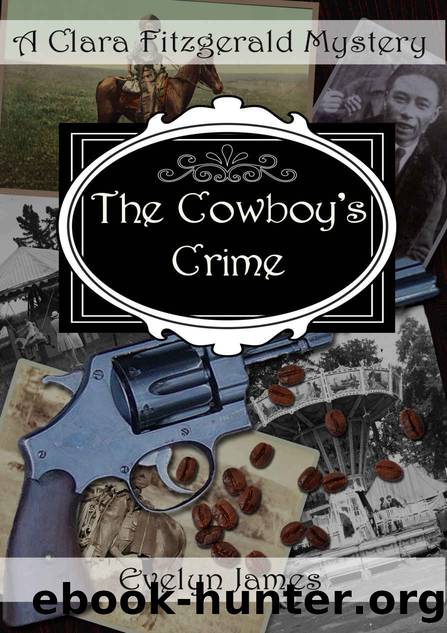 The Cowboy's Crime by Evelyn James