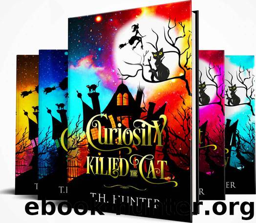 The Cozy Conundrums Collection by T H Hunter