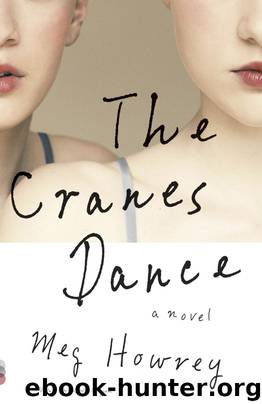 The Cranes Dance by Meg Howrey