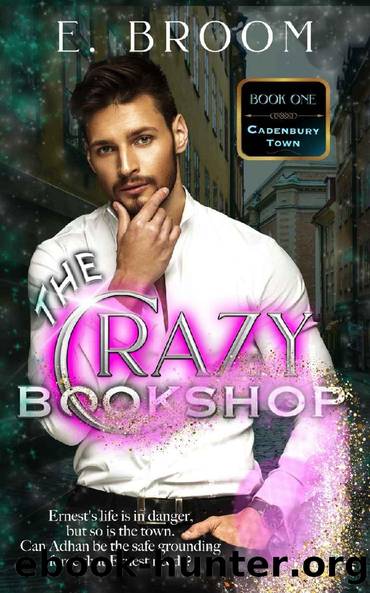 The Crazy Bookshop (Cadenbury Town Book 1) by E. Broom