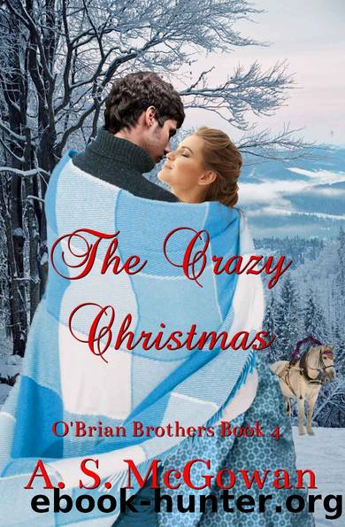 The Crazy Christmas by A.S. McGowan